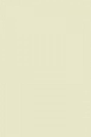 FARROW AND BALL GREEN GROUND NO. 206 PAINT